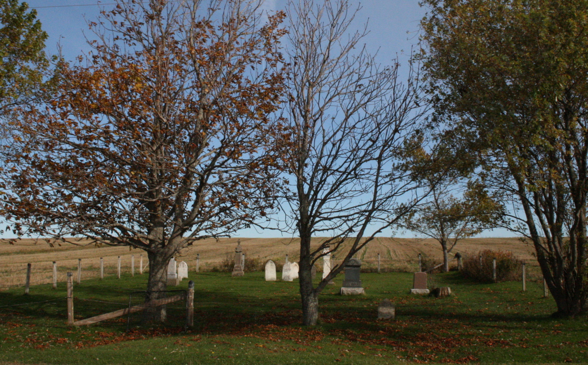 My favorite wee graveyard in the middle of nowhere, looking not so spooky on a sunny day