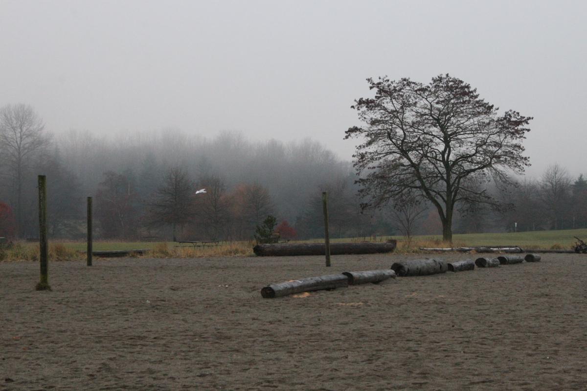 Foggy morning at Jericho Beach Foggy morning at Jericho Beach