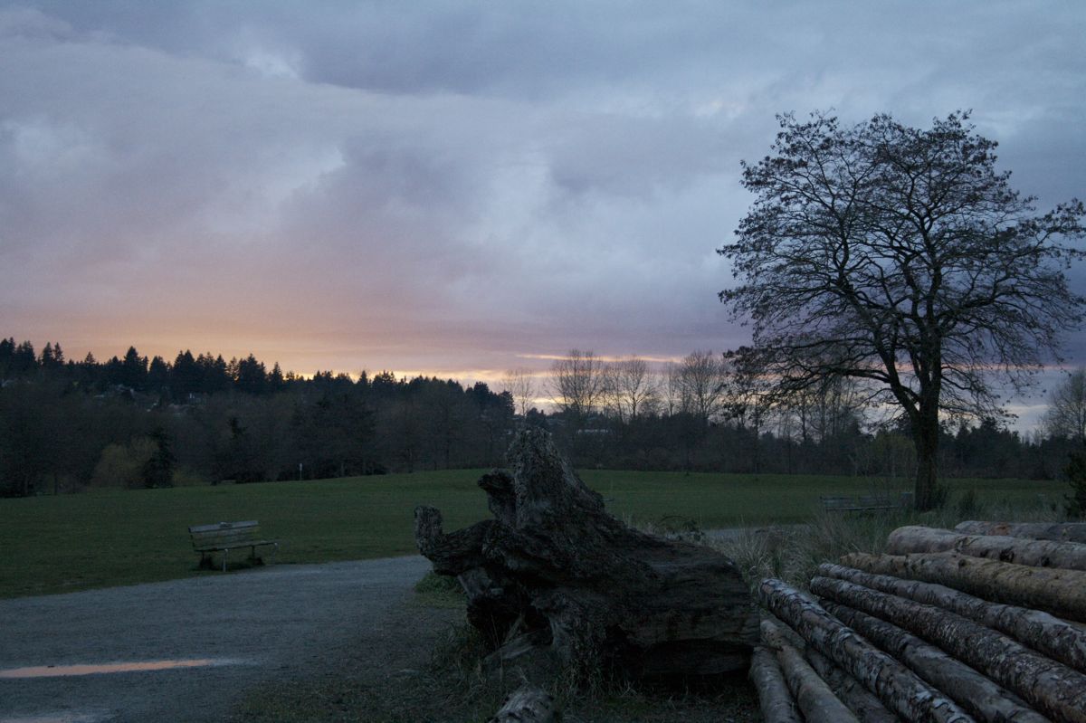 Sunset at the park