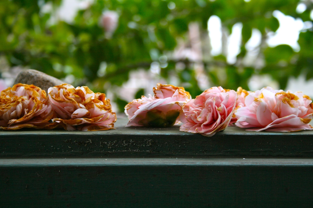 That which is flawed can still be beautiful That which is flawed can still be beautiful
