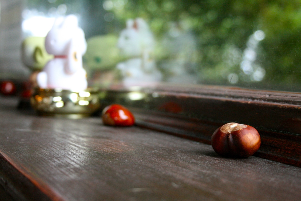 Still life with chestnuts, waving kitty, Yoda bobblehead Still life with chestnuts, waving kitty, Yoda bobblehead