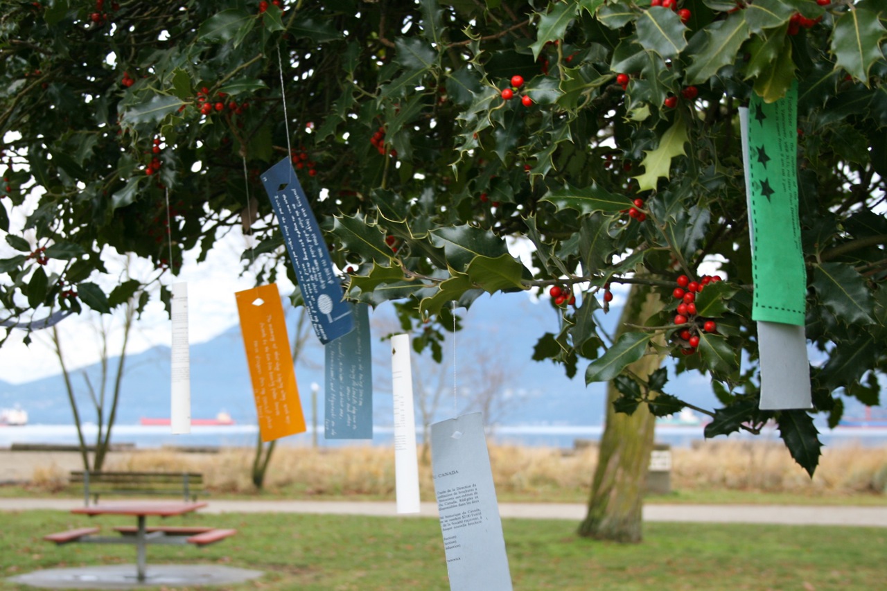 Anonymous tree art, Jericho Beach, Vancouver